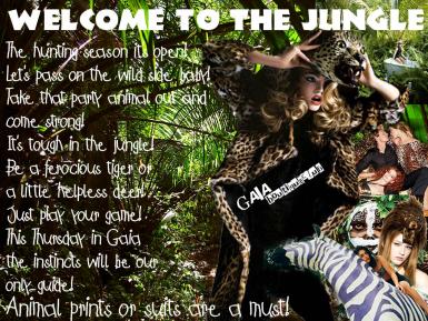 poze welcome to the jungle la gaia boutique