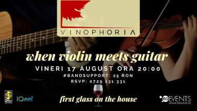 poze when violin meets guitar wine