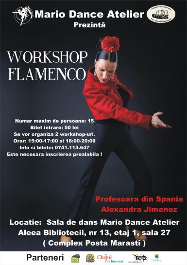 poze workshop flamenco alexandra jimenez 