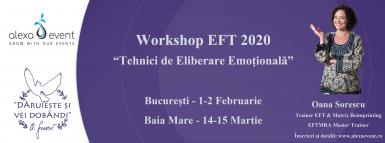 poze  workshop tehnici de eliberare emotionala eft 