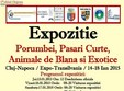 expozitie de animale mici la cluj