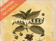 a film about coffee