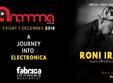 a journey into electronica roni iron