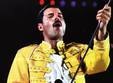 a night with freddie mercury manufactura