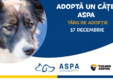 adopta un ca el aspa targ de adop ie 