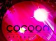 afterhours cocoon