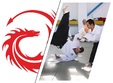 asr aikido curs de aikido pentru adulti