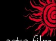 astra film festival 2011 sibiu