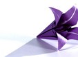 atelier de origami pentru copii