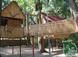 atelier de pictura la zoo timisoara