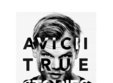 avicii true stories