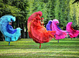 baletul culorilor the ballerinas sibiu