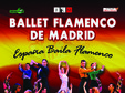 ballet flamenco de madrid la sala palatului