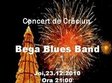 bega blues band live in swing club