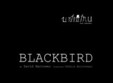 blackbird