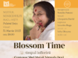 blossom time timpul infloririi 