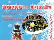 brickenburg lego users group winter expo