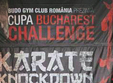 poze bucharest challenge cup 2013 
