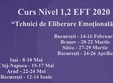 bucure ti curs nivel 1 2 tehnici de eliberare emotionala eft 