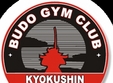budo gym club bucuresti s a afiliat la all japan kyokushin union 