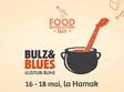 bulz blues festival 2014 la iasi