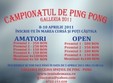 campionatul de ping pong galleria 2011