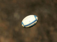 campionatului national de rugby baia mare