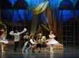 carmen teatrul national de opera si balet oleg danovski 