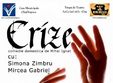 comedia domestica crize cluj