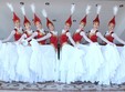 poze concert aniversar la bucure ti cu orchestra de muzica kazahstan