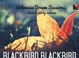 concert blackbird blackbird in club control
