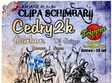 concert cedry2k in brasov