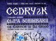 concert cedry2k in timisoara