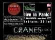 concert cranes in panic club