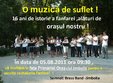 concert de fanfara la jimbolia