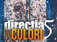 concert directia 5 in culori