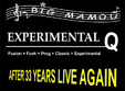 concert experimental q in big mamou din bucuresti