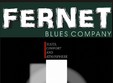poze concert fernet blues company in hockey pub brasov