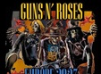 concert guns n roses 