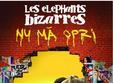 concert les elephants bizarres