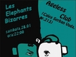 concert les elephants bizarres in ageless club