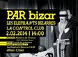 concert les elephants bizarres in control club