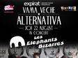 concert les elephants bizarres in vama veche