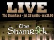 concert live the shamrock in irish pub