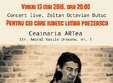 concert live zoltan octavian butuc