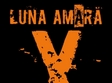 concert luna amara arad