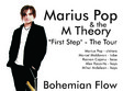 concert marius pop the m theory 