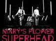 concert mary s flower superhead in club control
