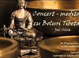 concert meditatie cu boluri tibetane la ceainaria cinci