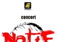 concert natif in 2min cafe pub